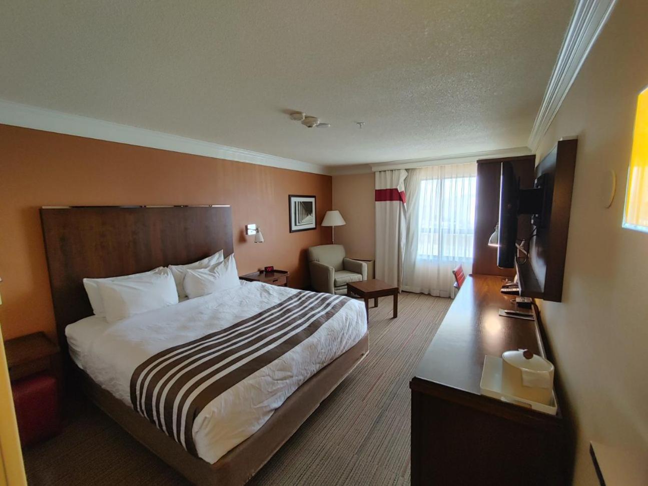 Waterloo Suites Hotel, Trademark Collection By Wyndham Zewnętrze zdjęcie